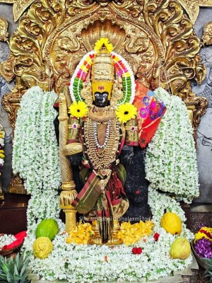 Kolhapur - Pandharpur - Tuljapur : Darshan 